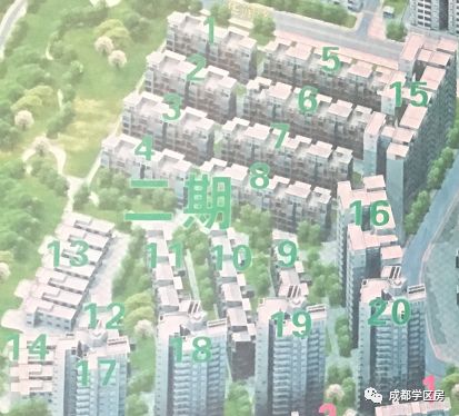 成师附小分校有哪些,成师附小哪个分校最好