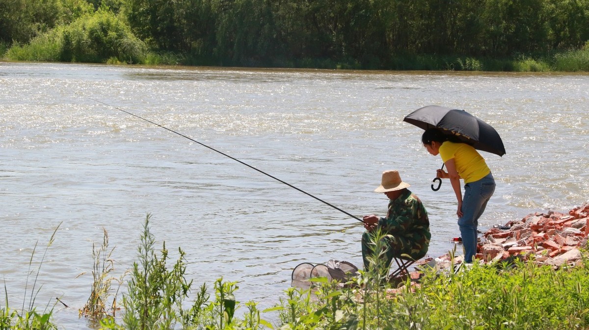 自制快速发窝的钓鱼酒米窝料,冬季自制酒米窝料诱鱼效果