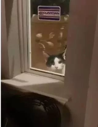 各国秘密间谍行动,各国间谍战有多凶险