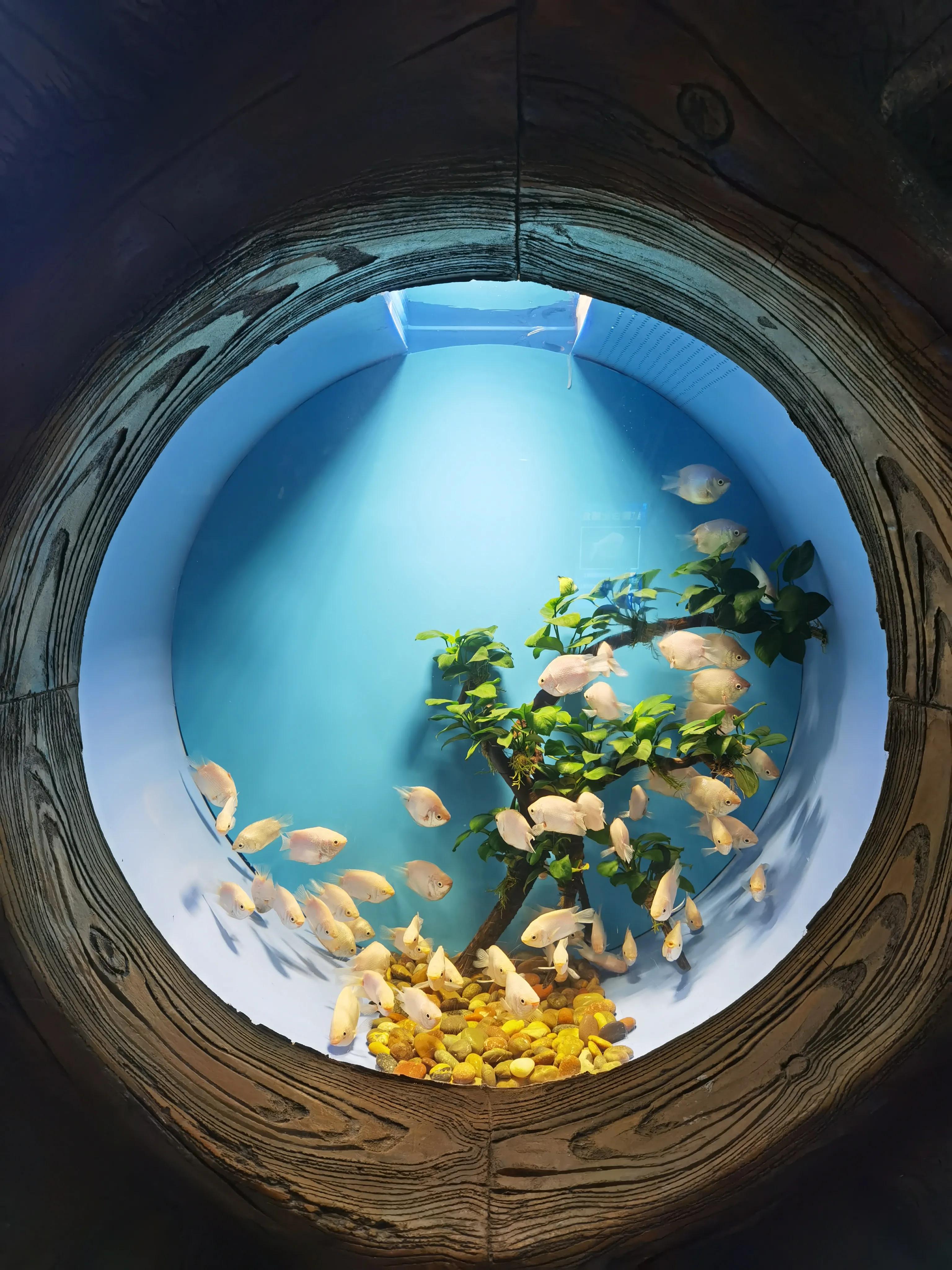 天津海洋馆新开的儿童乐园,天津适合孩子玩的水上乐园