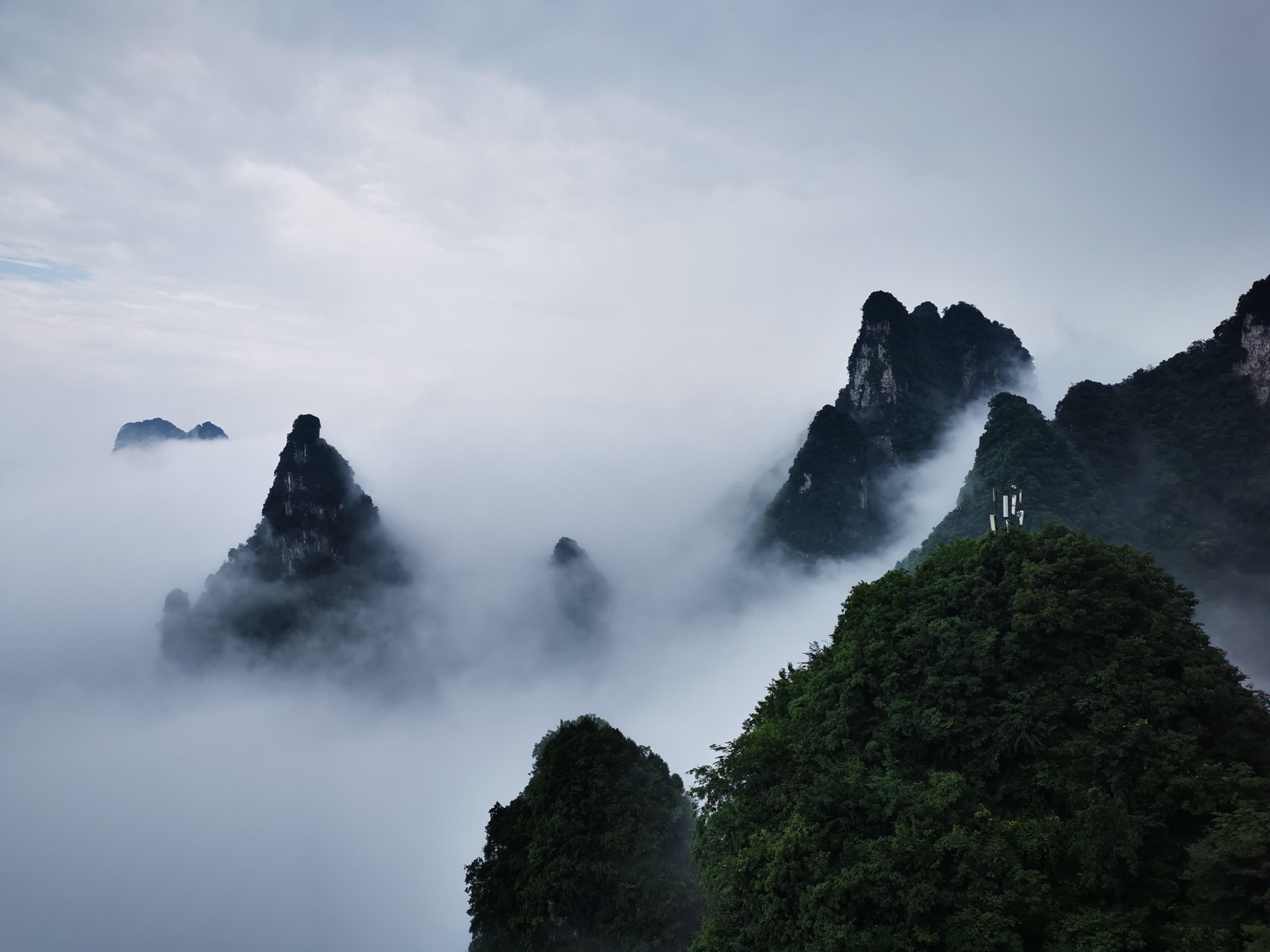 挂靠单位买社保违法吗,为他人代缴社保合法吗