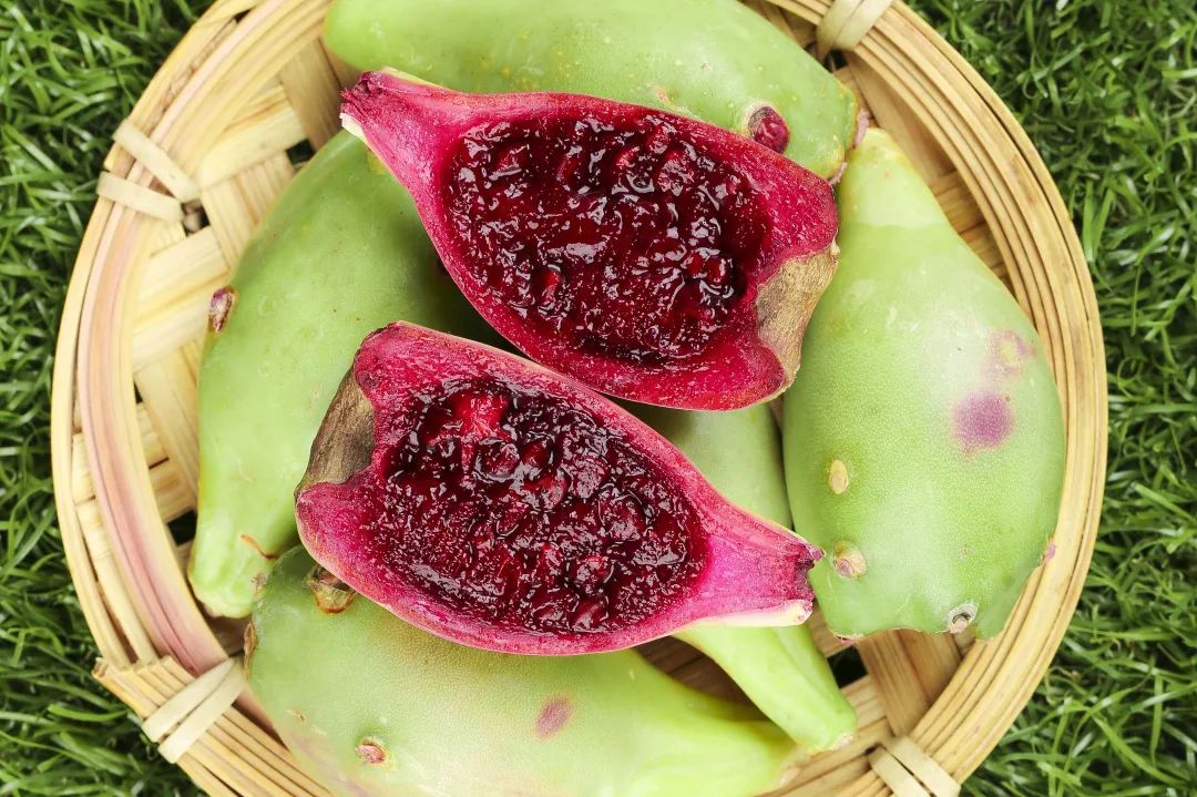 兰芝水乳套装保湿学生清爽,韩国兰芝紧致水乳小样