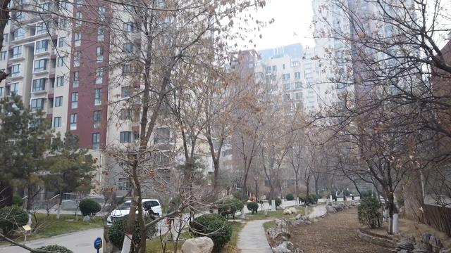 石家庄十大顶级豪宅别墅,石家庄高端别墅区排行榜