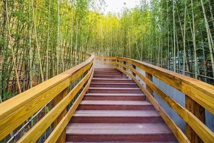 深圳免费公园适合儿童,深圳免费公园哪里最好啊