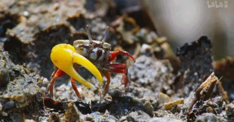 这么多限制级的画面和台词，竟然都能免费观看