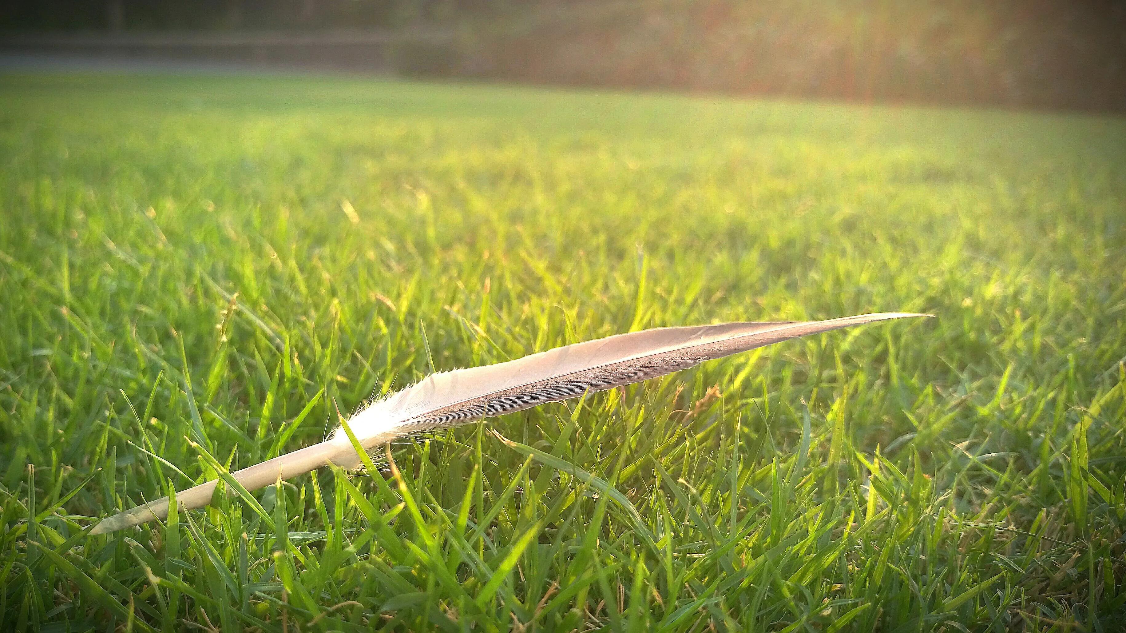 你所不知道的酒店,印度顶级酒店在哪里