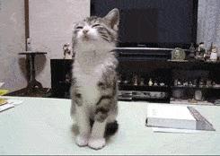 把中间的门店租下来取什么名字好,租下门面不知道取什么名字