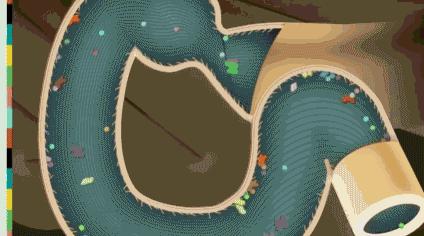 优质儿童教育app,优思教育培训推荐