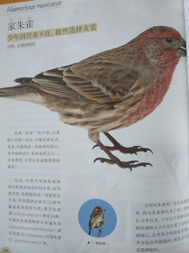 每个生命都值得尊重作文,每个生命都值得尊重和善待