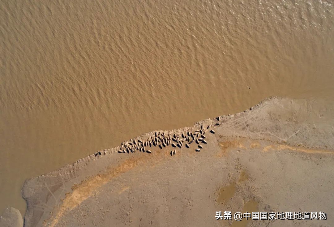 东北的门户图片,东北门户是什么地方