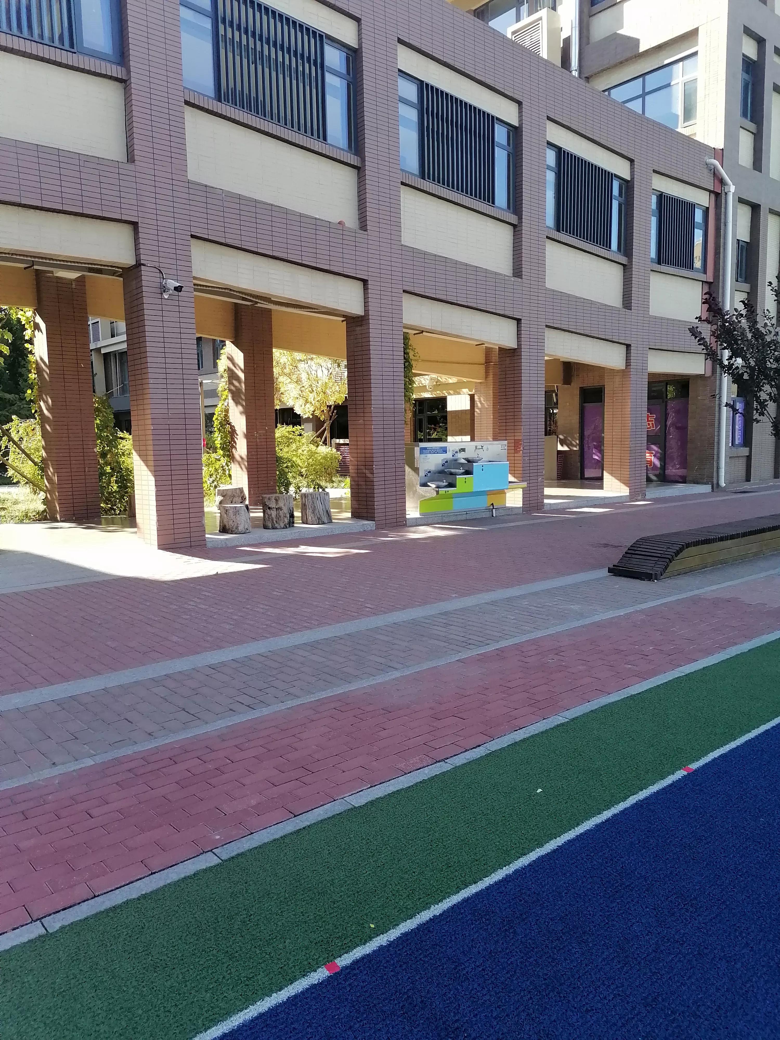 体育运动的价值和意义,体育运动的价值取向