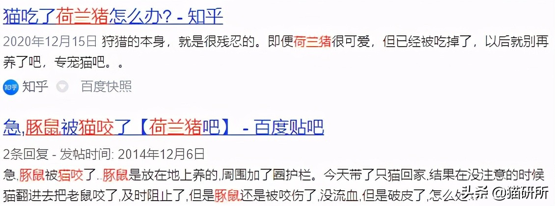 能不能养宠物鼠狗兔猫,能不能养宠物鼠猫狗呢