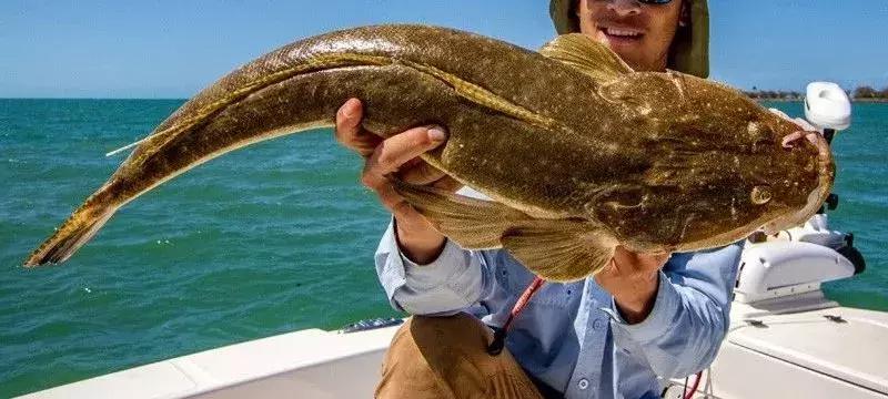 澳洲超市里的好吃的,澳洲超市蔬菜品种