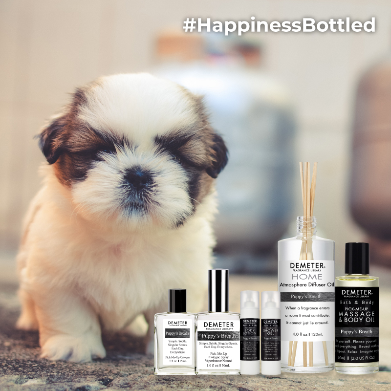 气味图书馆的目标市场,气味图书馆算是什么档次的香水