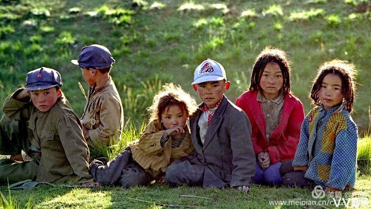 金色童年8张图片,金色的童年相片