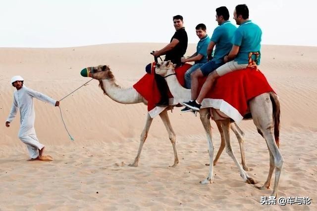 金宇轮胎承载力怎么样,山东金宇轮胎的价格