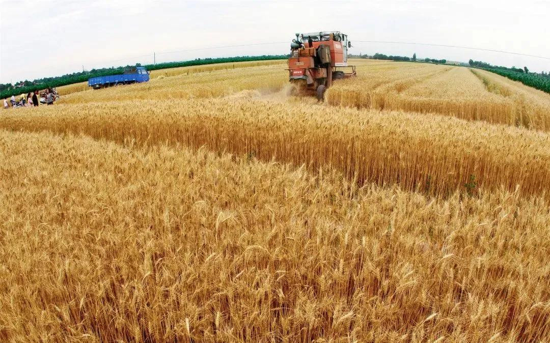 赞美庆阳的美景,庆阳的美