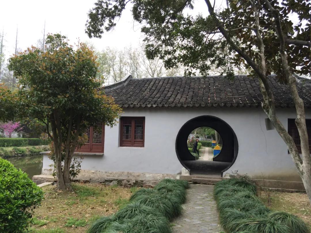 冯仑首富,地产大佬冯仑近况