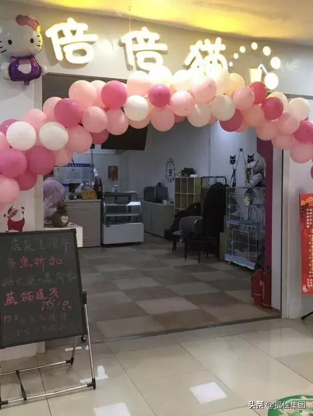 大连新年福利,大连福利新天地