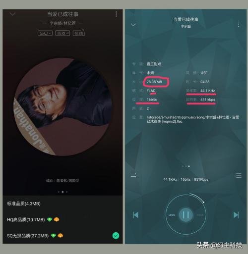 怎么设置手机免费无损音乐,如何使用手机版无损音乐