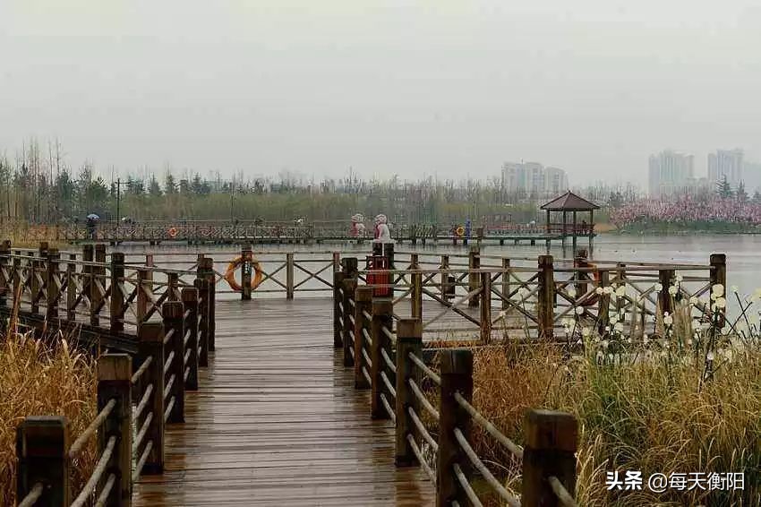 衡阳新增高铁规划,衡阳高铁规划建设信息