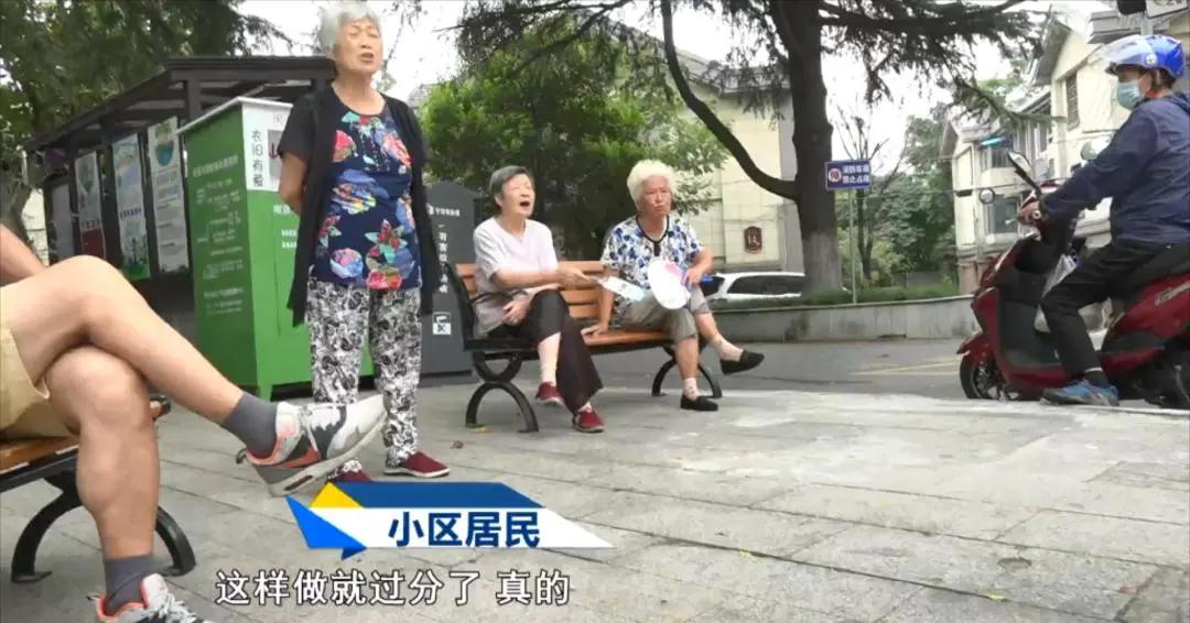 小猫被箭射伤后续,小猫被打伤了腿