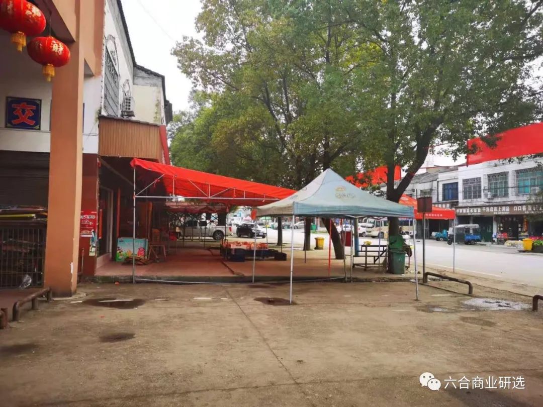 2021回乡见闻录全部视频,2023返乡见闻