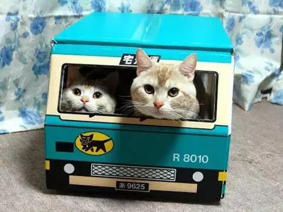 感受一下日本快递员的服务,日本快递员竟然不怕差评