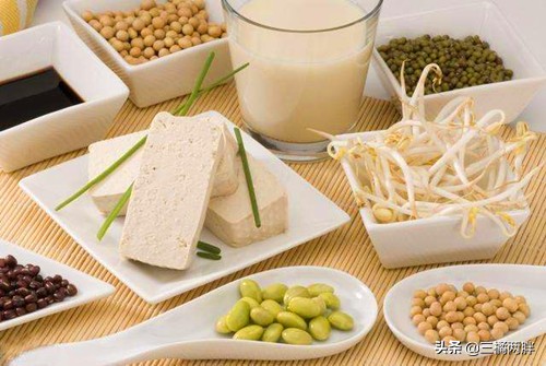 「养宠经验分享」金毛个子矮如何增高,金毛个子矮怎么长高