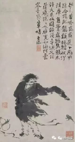 写意花鸟吴昌硕,徐渭写意花鸟菊花