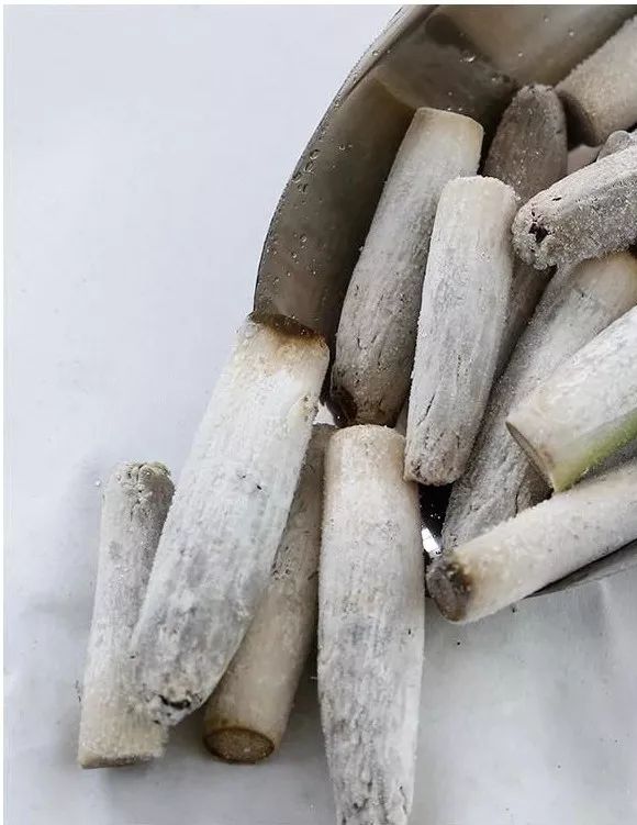 病入膏肓的吃货 (病入膏肓的美味)