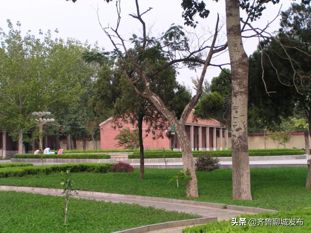 聊城二中历史,十年印象阿布