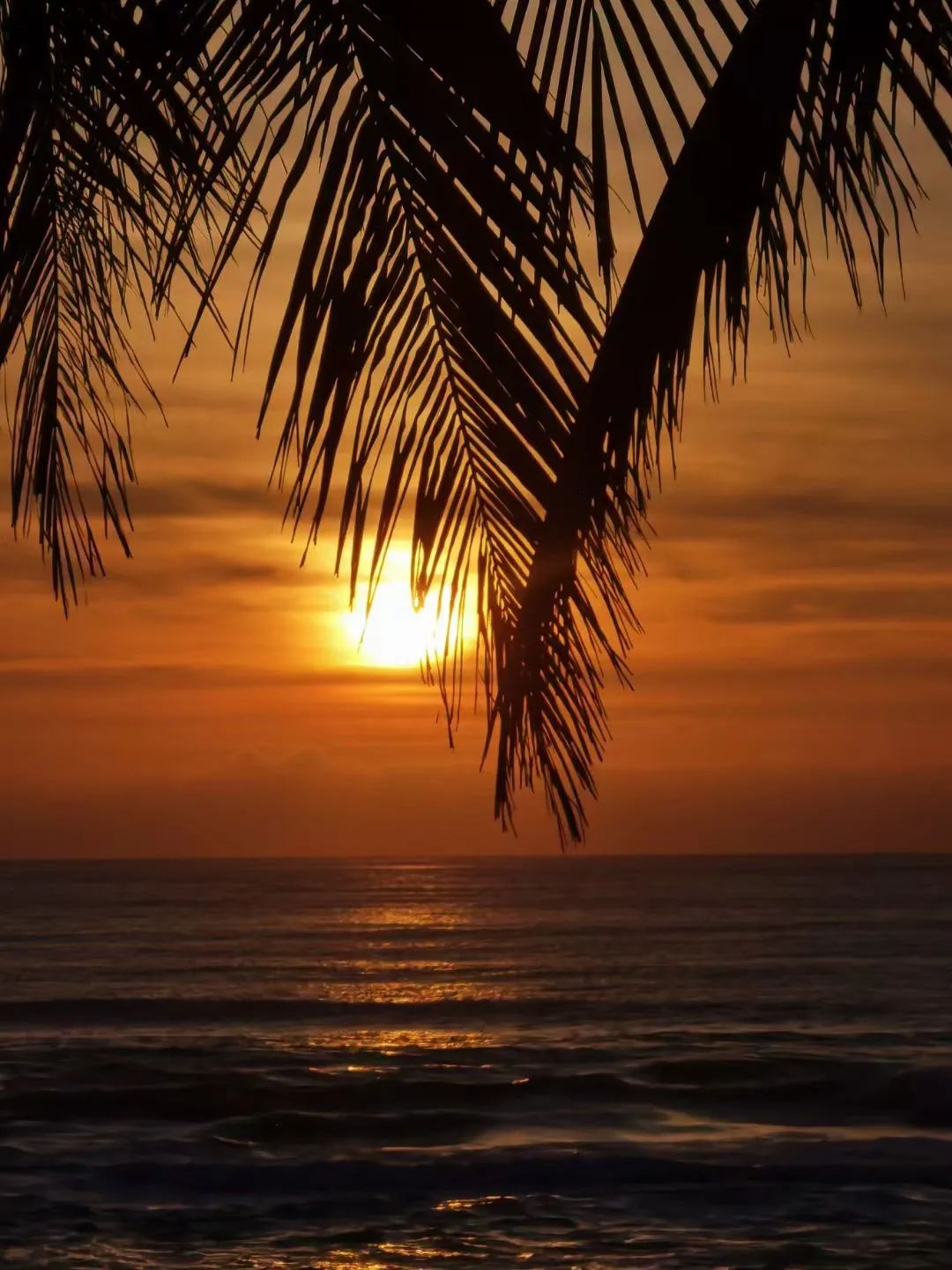 如果你热爱大海,如果你热爱生活那么请热爱大海