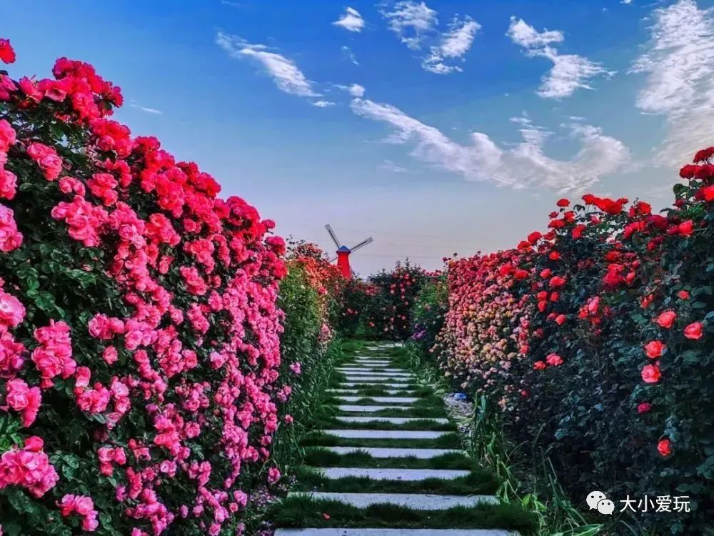 北京特色小庄园,北京哪的庄园好看又好玩