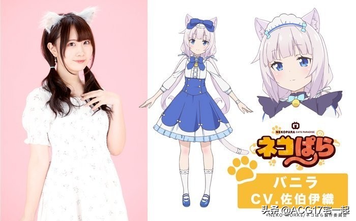 又要吸猫啦！《巧克力与香子兰》TV动画化決定！特报影像公开