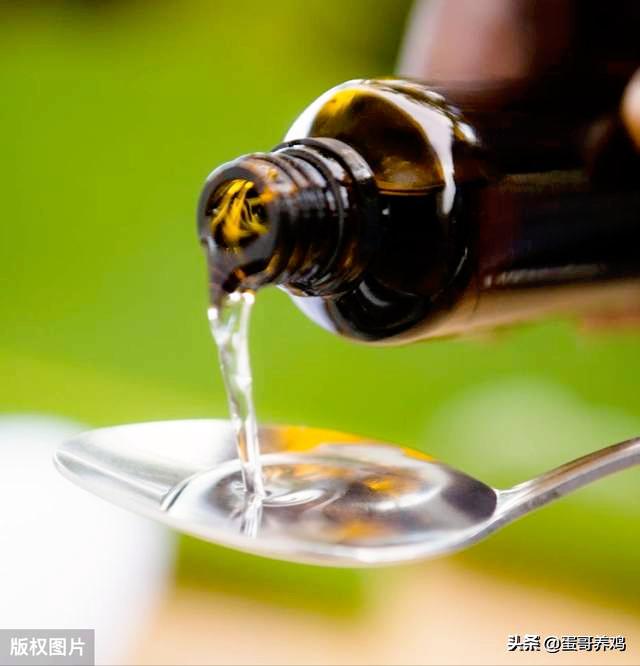 养鸡普发“冷应激”，老兽医透漏绝招，再不担心家禽受凉感冒