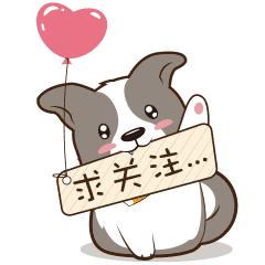 中国足球队员年薪最新规定,中国足球薪金降了吗