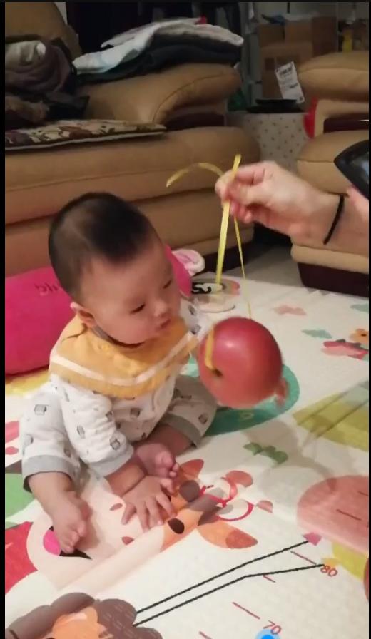 早教从现在开始,早教小步在家靠谱吗