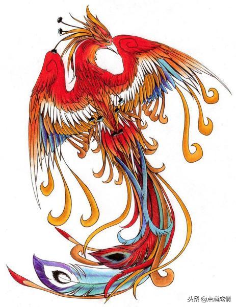 世界上真的有凤凰吗真实视频,世界上真的有凤凰视频吗