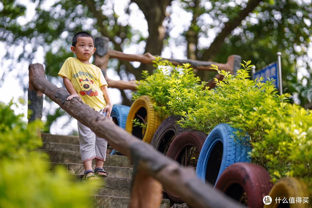 新手的第一支变焦镜头,新手第一支镜头选50还是85