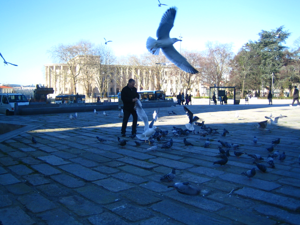 葡萄牙波尔图，一座古今气息无缝衔接的神奇城市