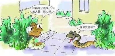 在福建福州蛇特别多有什么征兆,福州市出现蛇