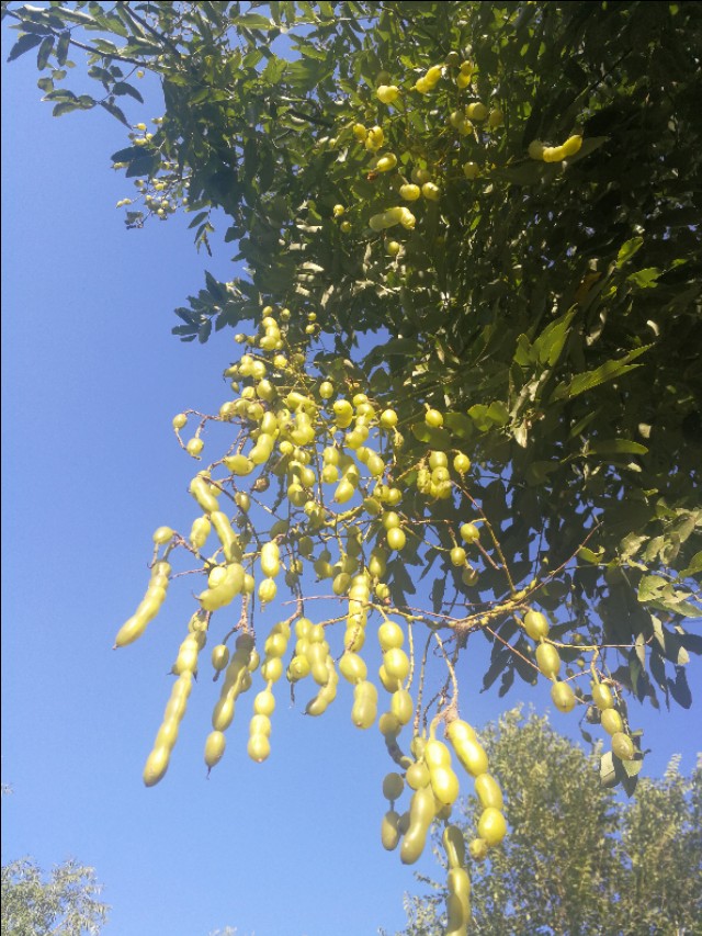 散文冬天的湖,冬天散文朗诵