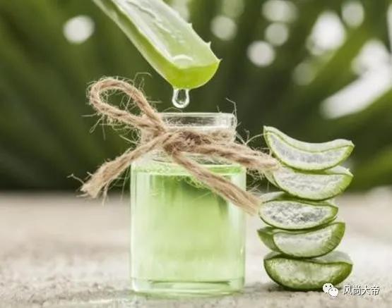 芦荟胶的正确用法：不是“直接”涂！方法弄错了，难怪会没有效果