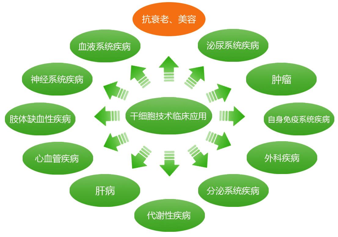 光动力治疗间质性膀胱炎,干细胞治疗间质性肾炎
