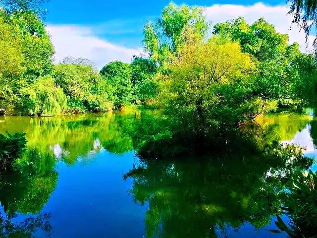 浙江杭州西溪国家湿地公园二期,杭州国家西溪湿地公园