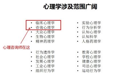 什么是心理咨询师报名条件,什么是心理咨询师从业证