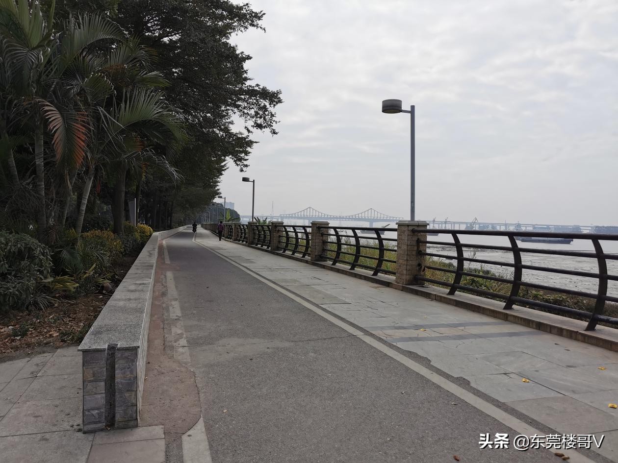 沙田碧桂园柏丽湾二期怎么样,沙田碧桂园柏丽湾入住率高不高