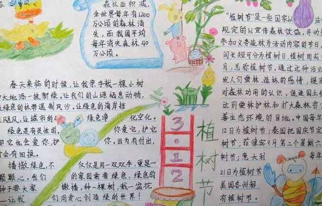 春天的作文配图手抄报,春天春游手抄报字