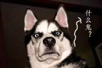 纪梵希4色散粉哪个号好用,纪梵希散粉排行榜10强